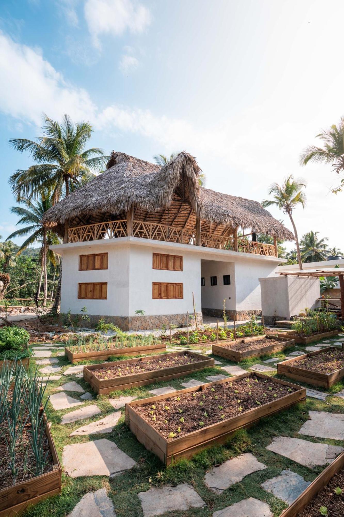 Leisy'S Garden Hostel & Rooms Samana Bagian luar foto