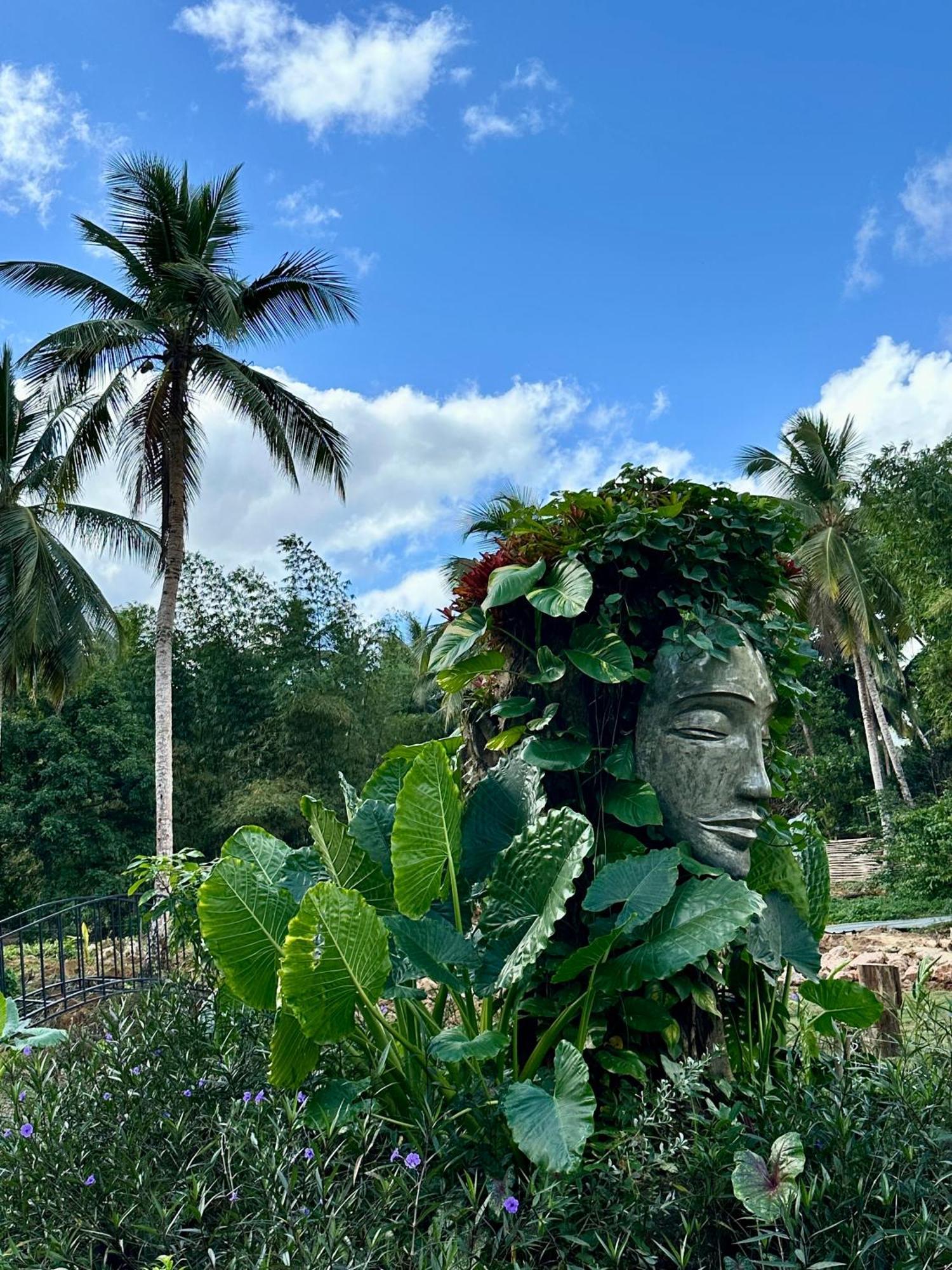 Leisy'S Garden Hostel & Rooms Samana Bagian luar foto